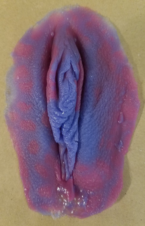 Photo of Labia silicone casting in two-tone purple swirls