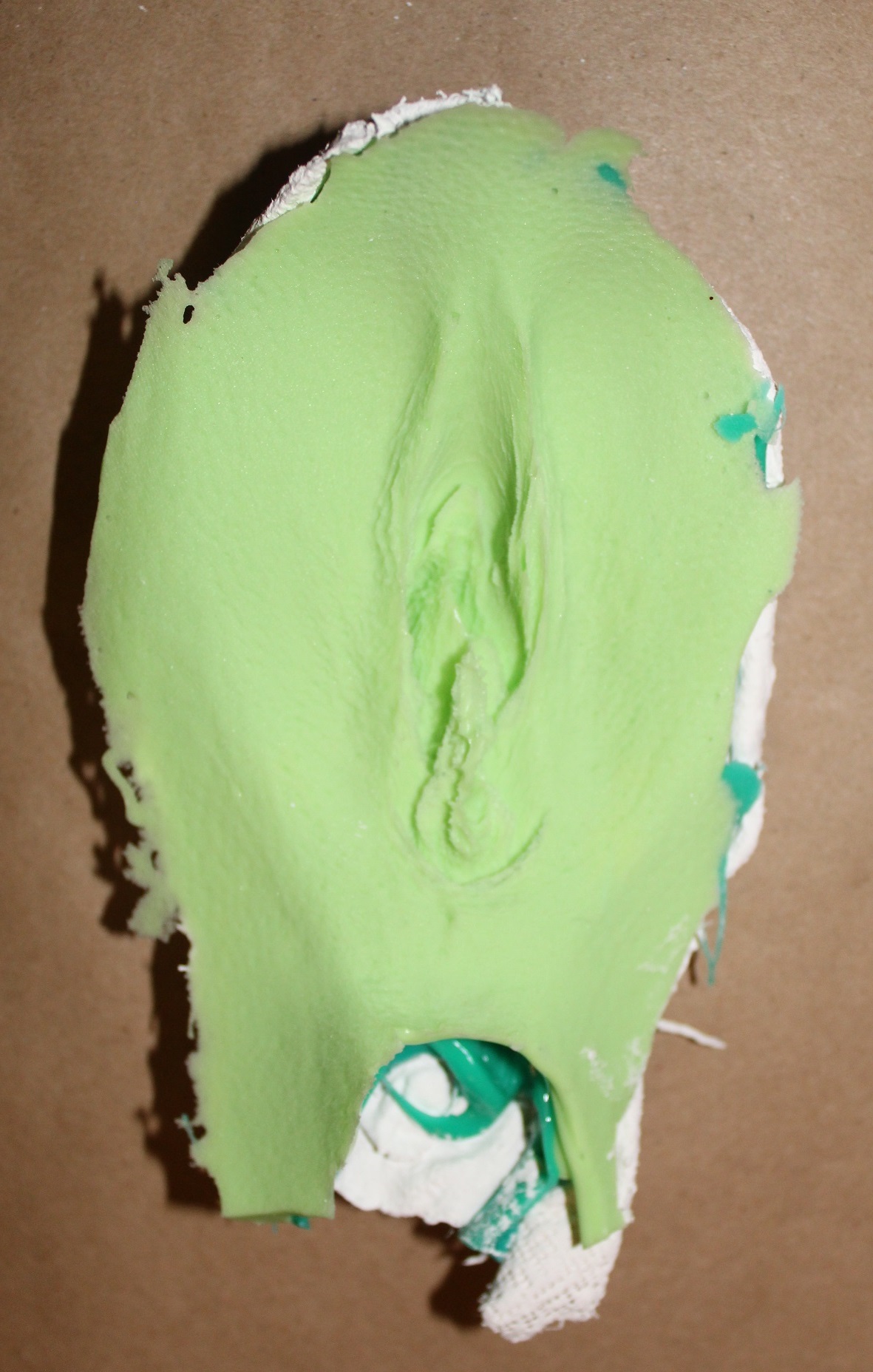 Photo of Labia mold - front