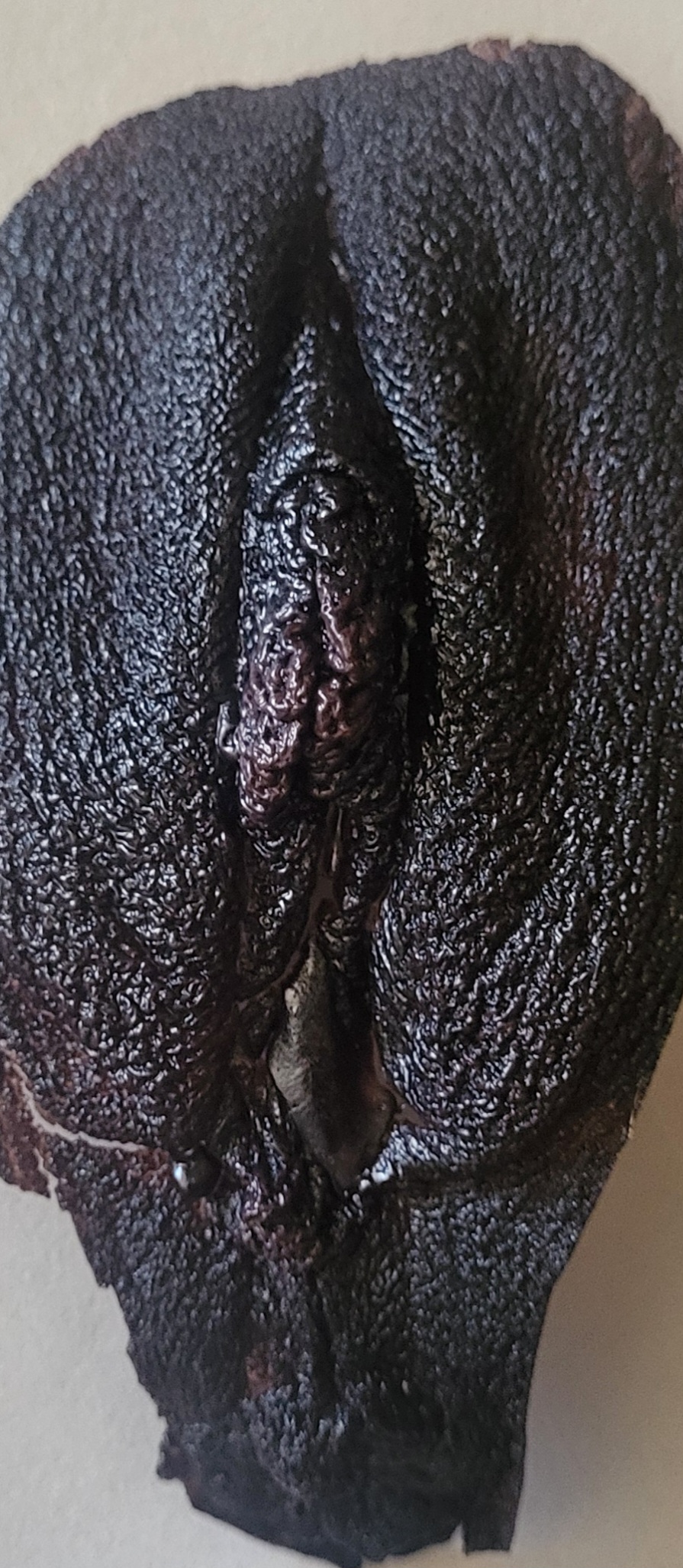 black colored resin casting of front labia