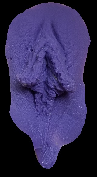 Photo of Labia silicone casting in purple