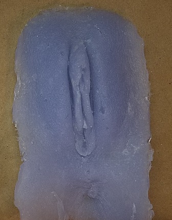 Photo of Labia silicone casting in lavender