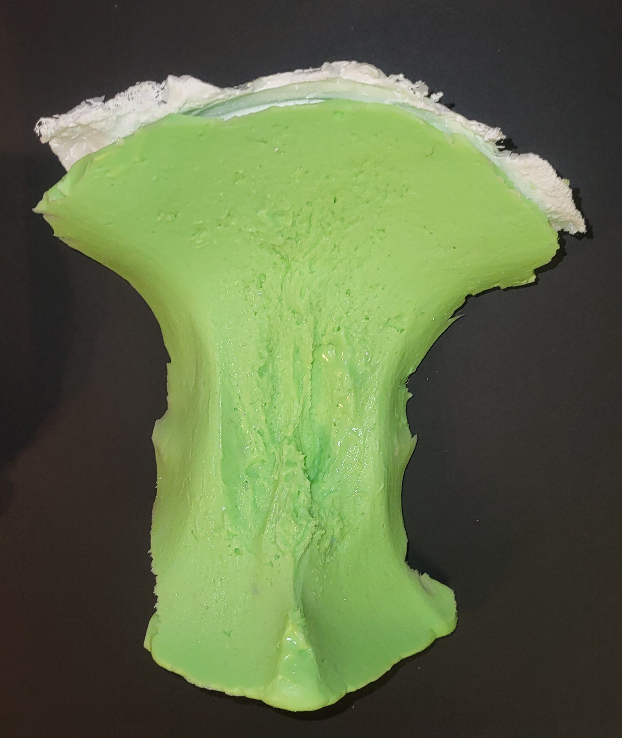 Photo of silicone labia mold