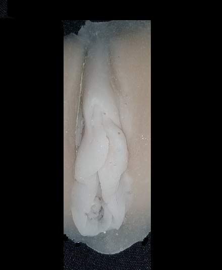 Flesh colored silicon casting of front labia