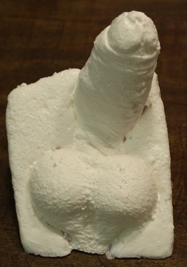 Plastic Cast of erect penis