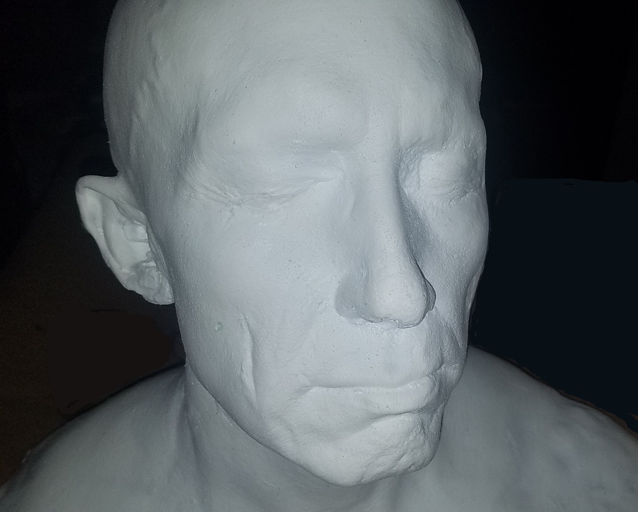 white plastic male head lifecast