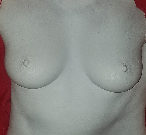 white plastic cast of breasts
