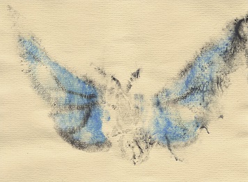 print of blue butterfly painted on labia