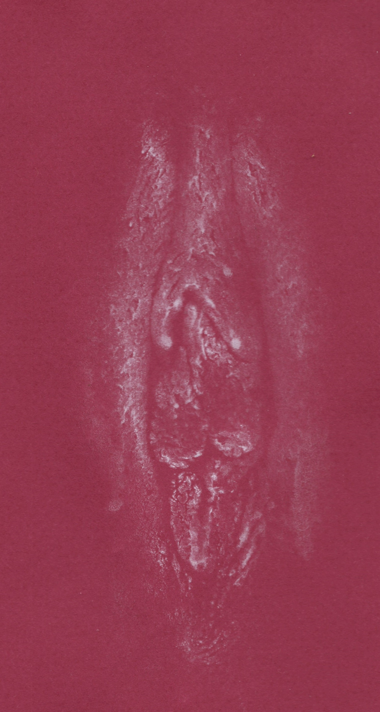 Labia print: white on red background