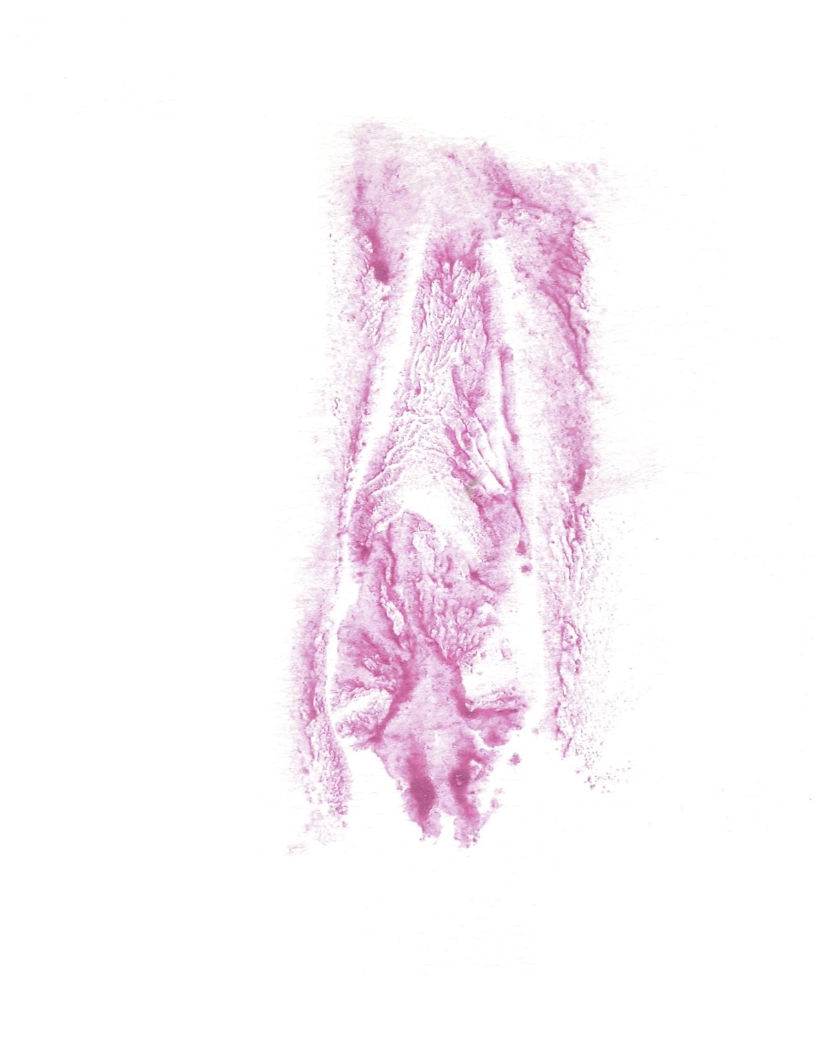 red print of vulva on white paper
