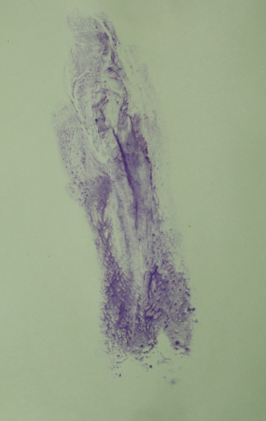 print of purple labia on green paper