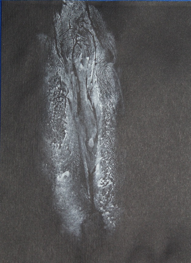print of white painted labia on black paper
